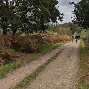 Routes List